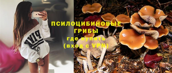 синтетический гашиш Верхний Тагил